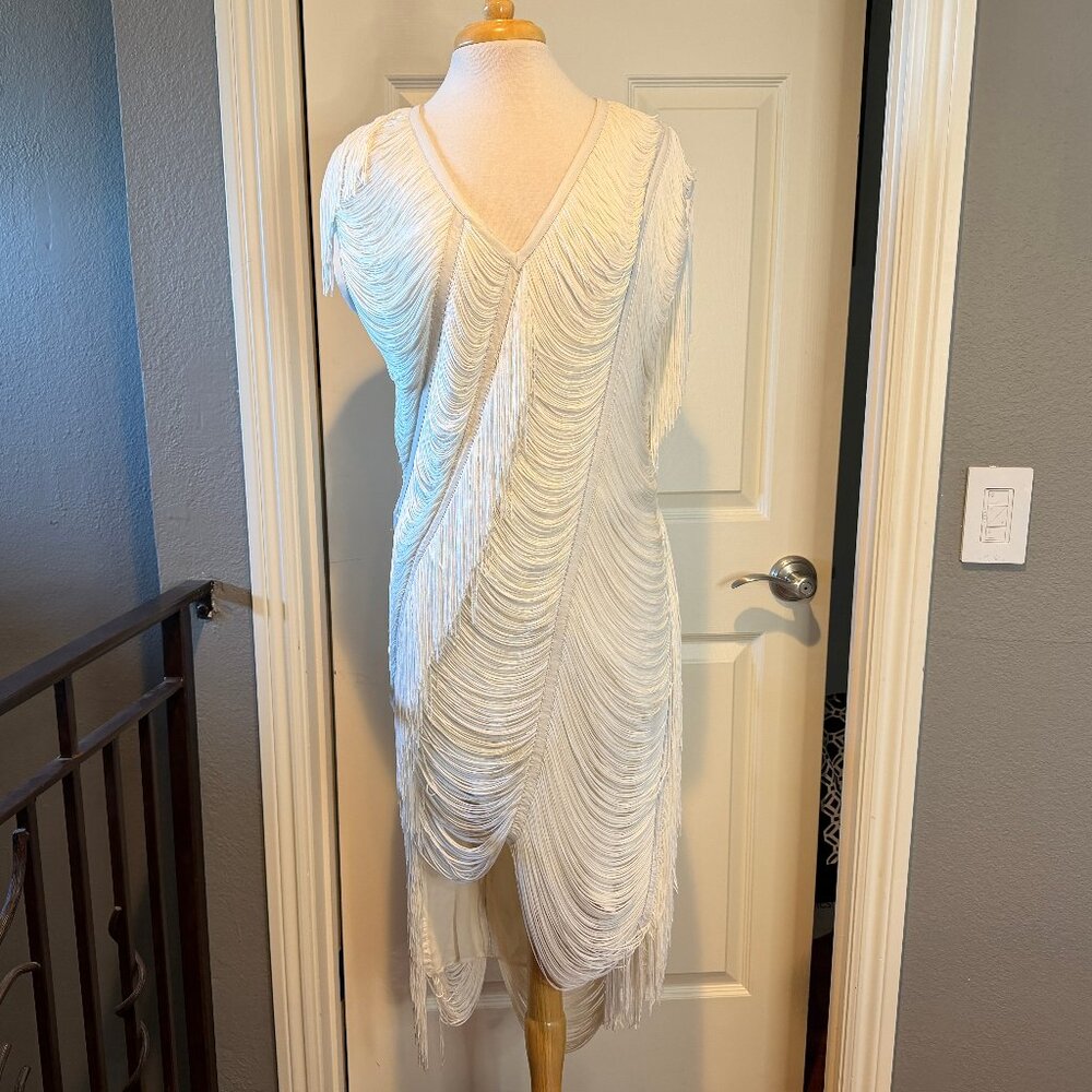 HAUTE HIPPIE fringed silk dress with leather trim 6